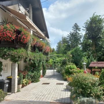 Janica Ivana Senčur Pamič, Raubarkomanda